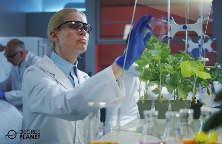 Common Biotechnology Master’s Specializations