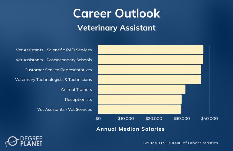 Veterinary Assistant Careers & Salaries